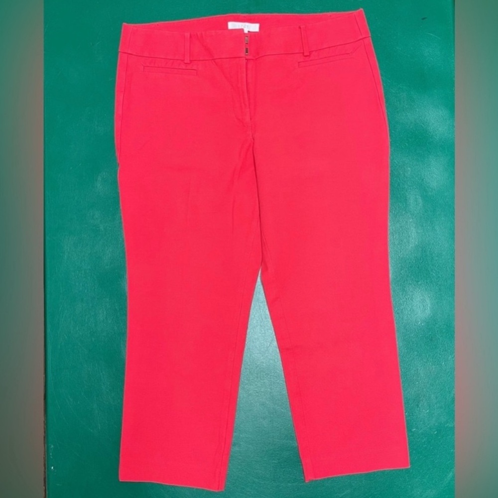 Loft Riviera Pant for Women